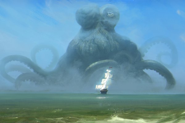 Kraken найдется все