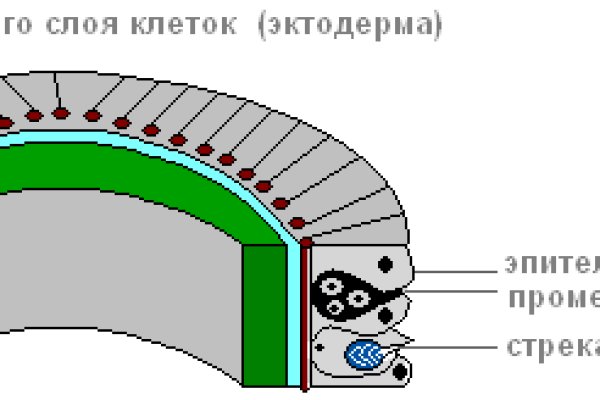 Кракен сайт как выглядит