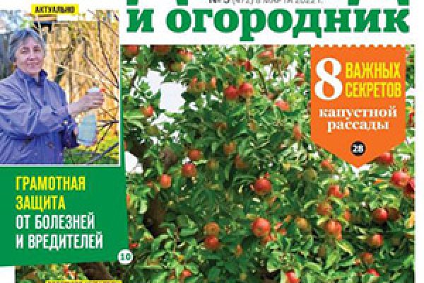 Кракен at сегодня работает ли